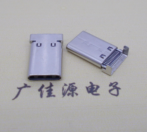 type c公頭24p