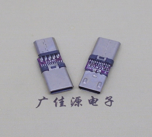 Type-C3.1公頭轉micro母座